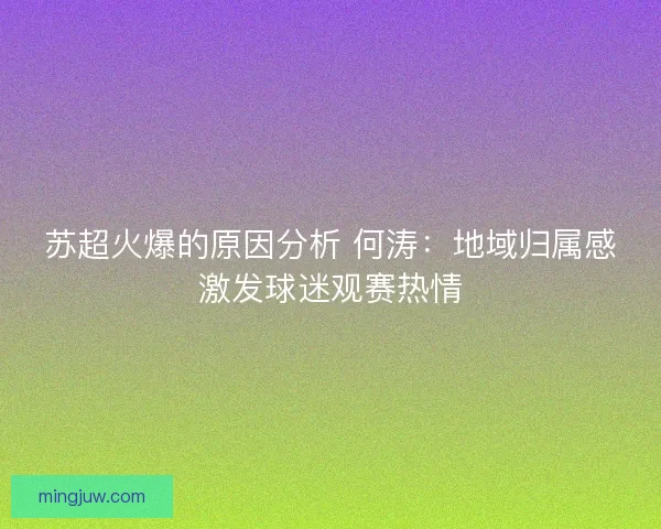 苏超火爆的原因分析 何涛：地域归属感激发球迷观赛热情